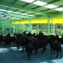 반장농장 이미지