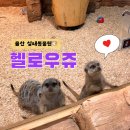 새울산유치원 | 울산 근교 핫플 아기랑 가볼만한 곳 실내동물원 헬로우쥬