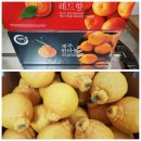 기원농장 이미지