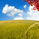 항상좋은날 이미지