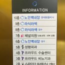 채널플러스의원