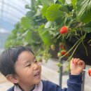 봄이네농장 이미지