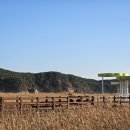 새들모텔 이미지