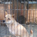 자담솔농원 이미지