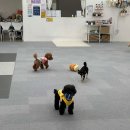 둥실둥실유치원 이미지