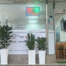 서귀동-54 네이버블로그