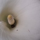 청아여관 이미지