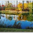 장자호수공원 이미지