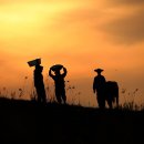 해거름길 이미지