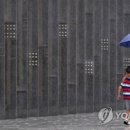 소나기 - 서초구 | 소나기