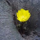 찬물내기