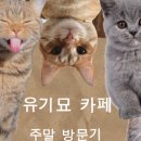 집사의 하루 건대점 이미지