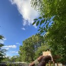 평화2(모험놀이터) 이미지