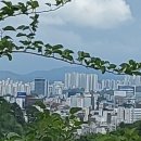 집현면1 이미지