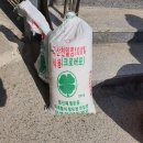 완월동245 이미지