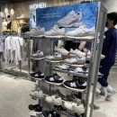타임테라스뉴발란스