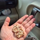 영두부 | 올리브영더베러 웰니스간식 두부스낵 ‘것플렉스’ 내돈내산 후기