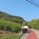 영천남부공인중개사사무소 티스토리