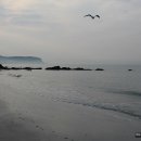 장군해물손칼국수 이미지