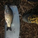 태평아파트 앞 이미지