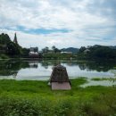 쑥부쟁이(용산저수지)둘레길 이미지