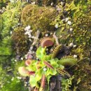 두근두근작은도서관(마고정 3단지 도서관) | 거제 여행 필수 코스 정글돔, 여긴 진짜 꼭 가보세요(인생샷 보장)