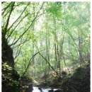 생곡리 미약골 이미지