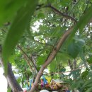 예쁜둥지어린이집 이미지