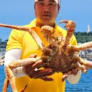 싱싱회 대게왕국 이미지