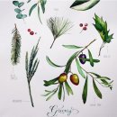 수채화 드로잉 이미지