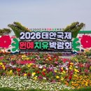 백제대중사우나 | 아름다운 봄꽃, 튜울립축제 완벽 탐방과 최적의 숙박 전략: 백제호텔 전문가 분석