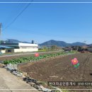 경남고성부동산 - 동해면 바다 인근의 반듯한 전원주택지, 토지매매 1203제곱미터 (364) 이미지