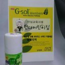 왕호체육관 이미지