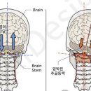 아덴필라테스&자이로토닉 네이버블로그
