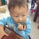 은찬목장 이미지