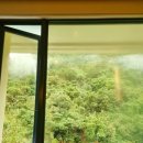 TJ움직이는 편의점 | FP와 TJ의 타이베이 여행-3