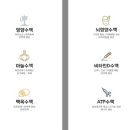 원케어팜 이미지