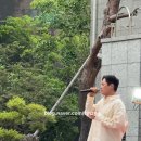 달푸힐 푸르지오 가든 음악회 후기