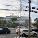 미장초등학교 정문(고고헤어앞) | 구로구청 앞 여권사진 만원? 가성비 끝판왕 구로사진관 솔직후기