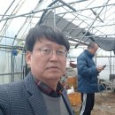 태인농장 이미지