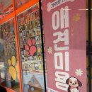 부천호텔 | 부천애견 호텔 멍미 맡긴후기들려드릴게요