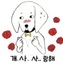 디스크 독 연구소 이미지