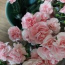 대전도솔유치원 이미지