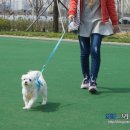 빵삼이 이미지