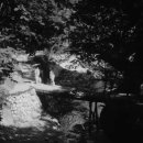 마음의 고향 이미지