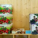 웰힐링협동조합 이미지