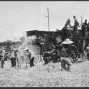 홍기농장 이미지