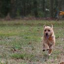 정평동물병원 이미지