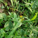 이쁜이세탁 이미지