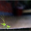 멜로디언 이미지